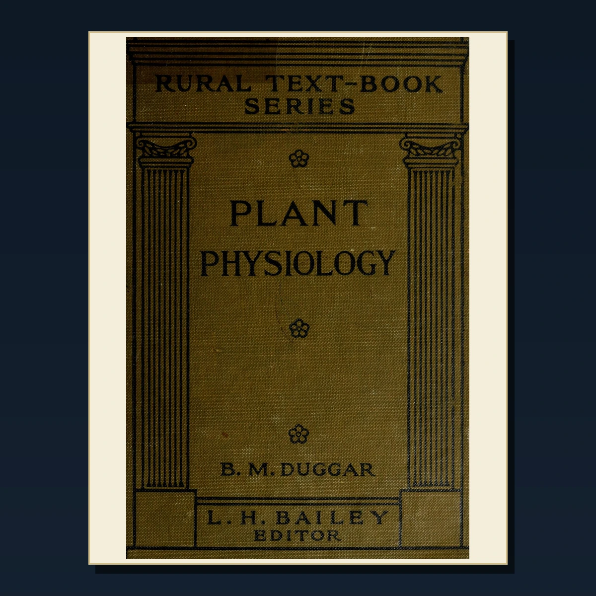 125 Rare Anatomy and Physiology Reference PDF Collection: Anatomy & Physiology Reference & Antique Sources image 5