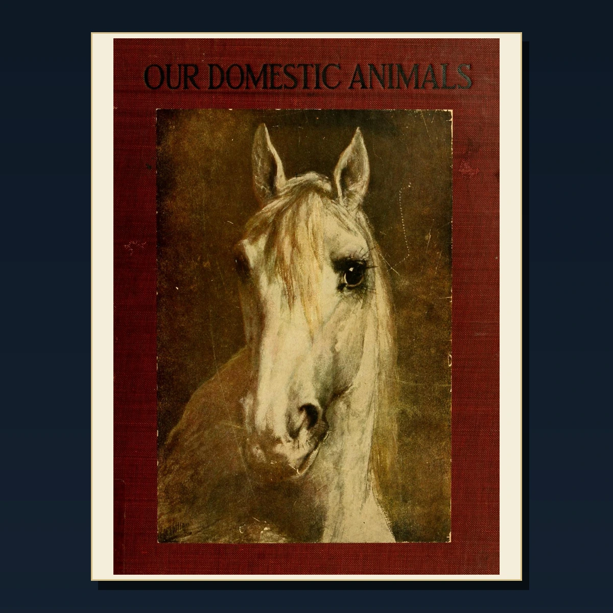 125 Rare Animal Training and Performing Animals PDF Collection: Animal Training & Performing Animals & Antique Sources image 2