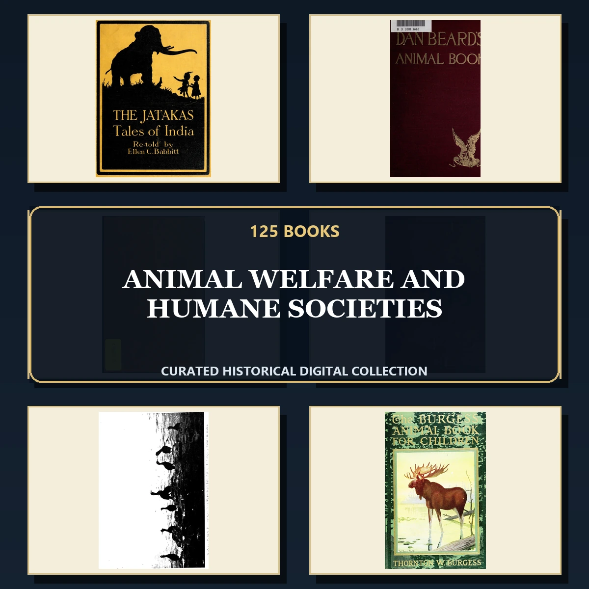 125 Rare Animal Welfare and Humane Societies PDF Collection: Animal Welfare & Humane Societies & Antique Sources