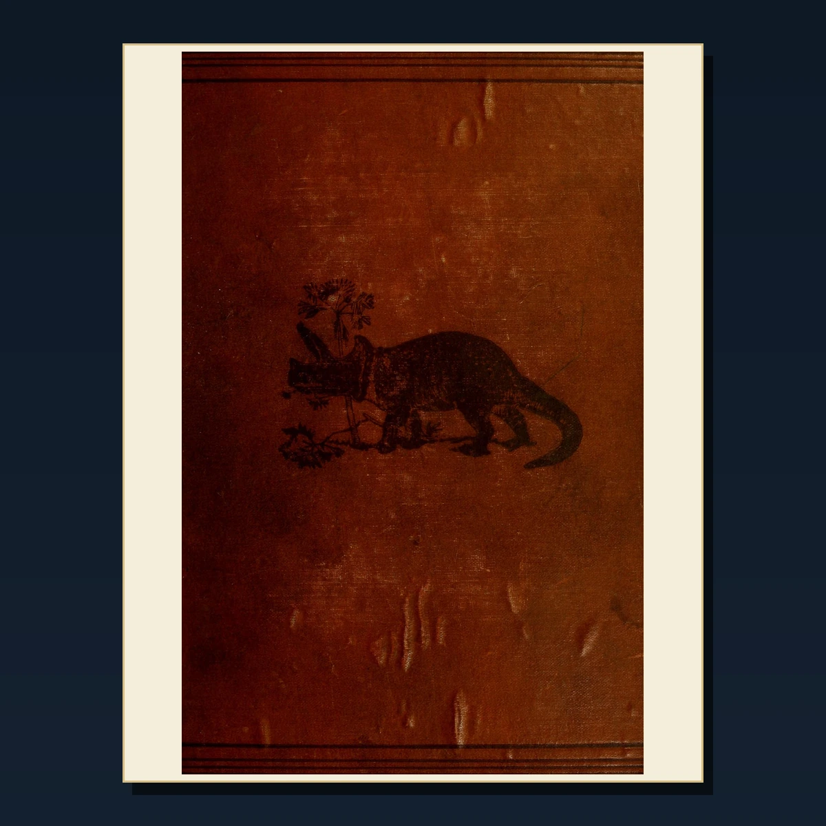 125 Rare Animal Welfare and Humane Societies PDF Collection: Animal Welfare & Humane Societies & Antique Sources image 5