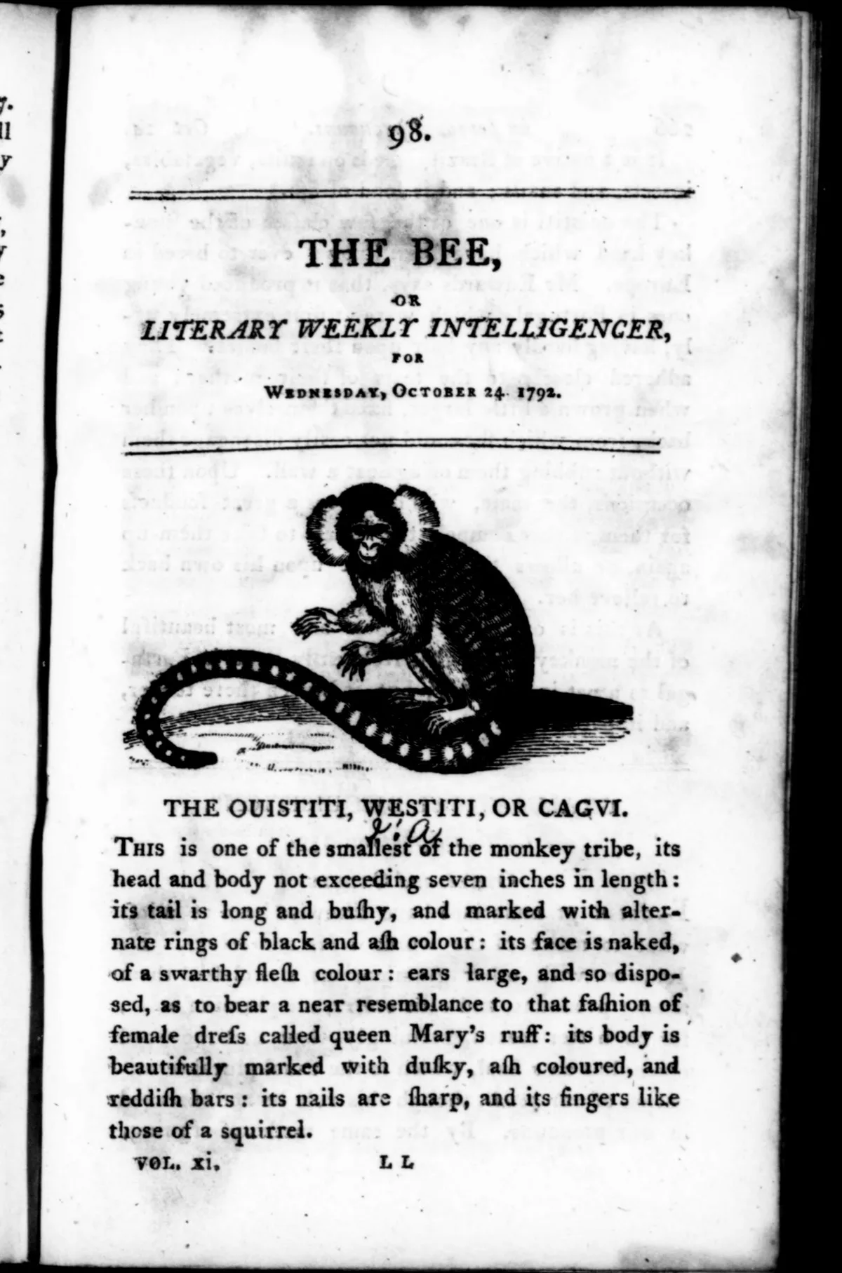 100 Vintage Beekeeping Honey & Apiary Books PDF Collection USB preview gallery image