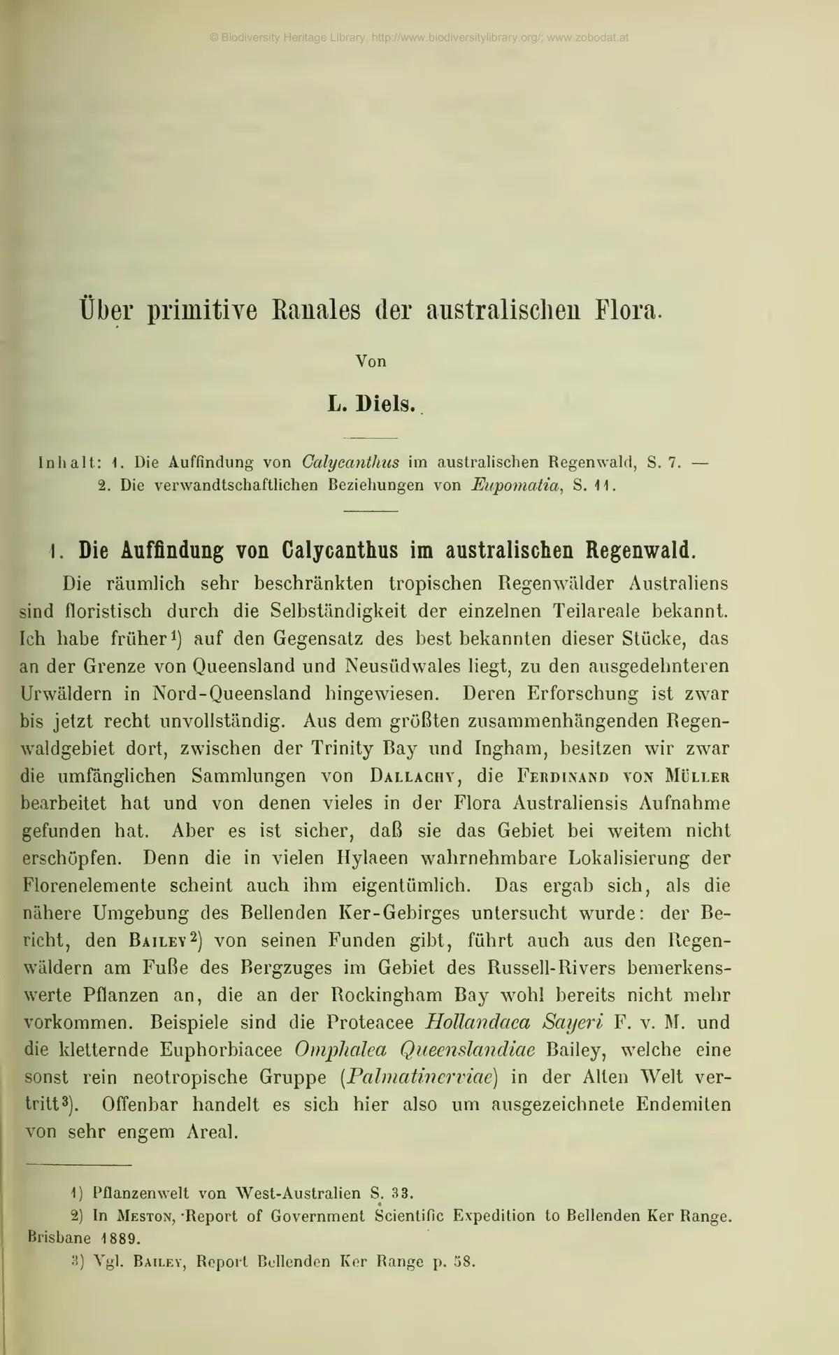 200 Antique Botanical Books & Flower Illustrations PDF Collection on USB preview gallery image