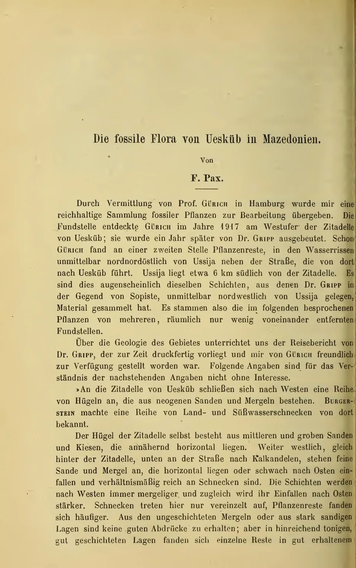 200 Antique Botanical Books & Flower Illustrations PDF Collection on USB preview gallery image