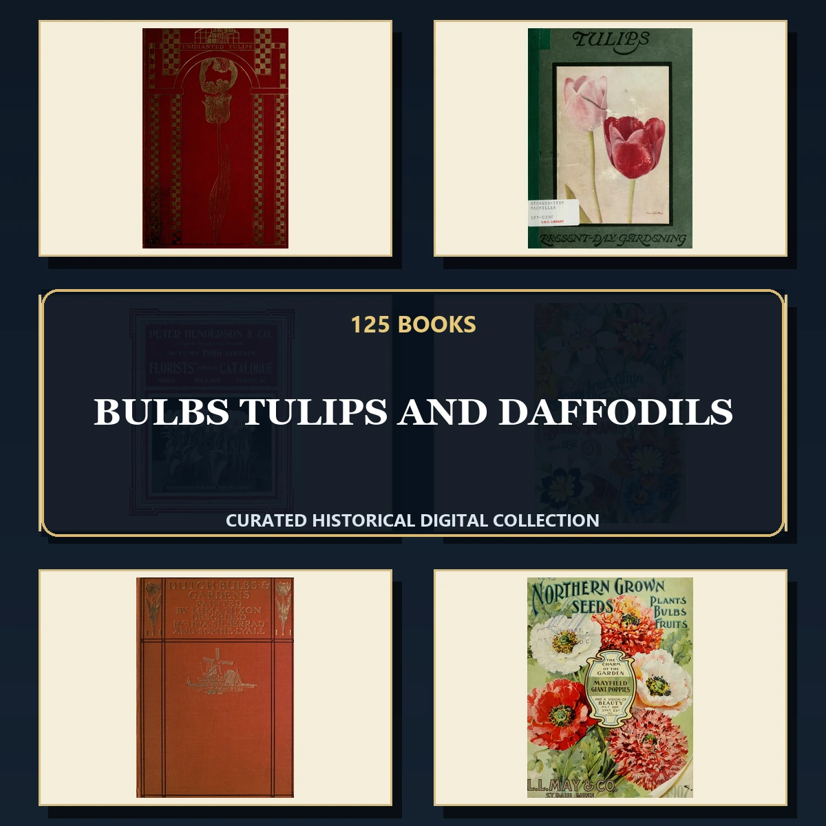 125 Rare Bulbs Tulips and Daffodils PDF Collection: Bulbs Tulips & Daffodils & Antique Sources