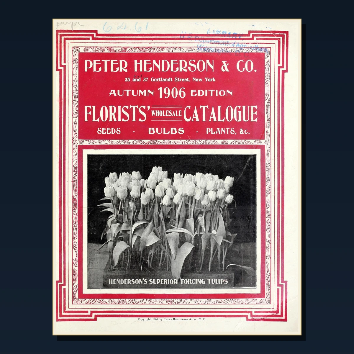 125 Rare Bulbs Tulips and Daffodils PDF Collection: Bulbs Tulips & Daffodils & Antique Sources image 4