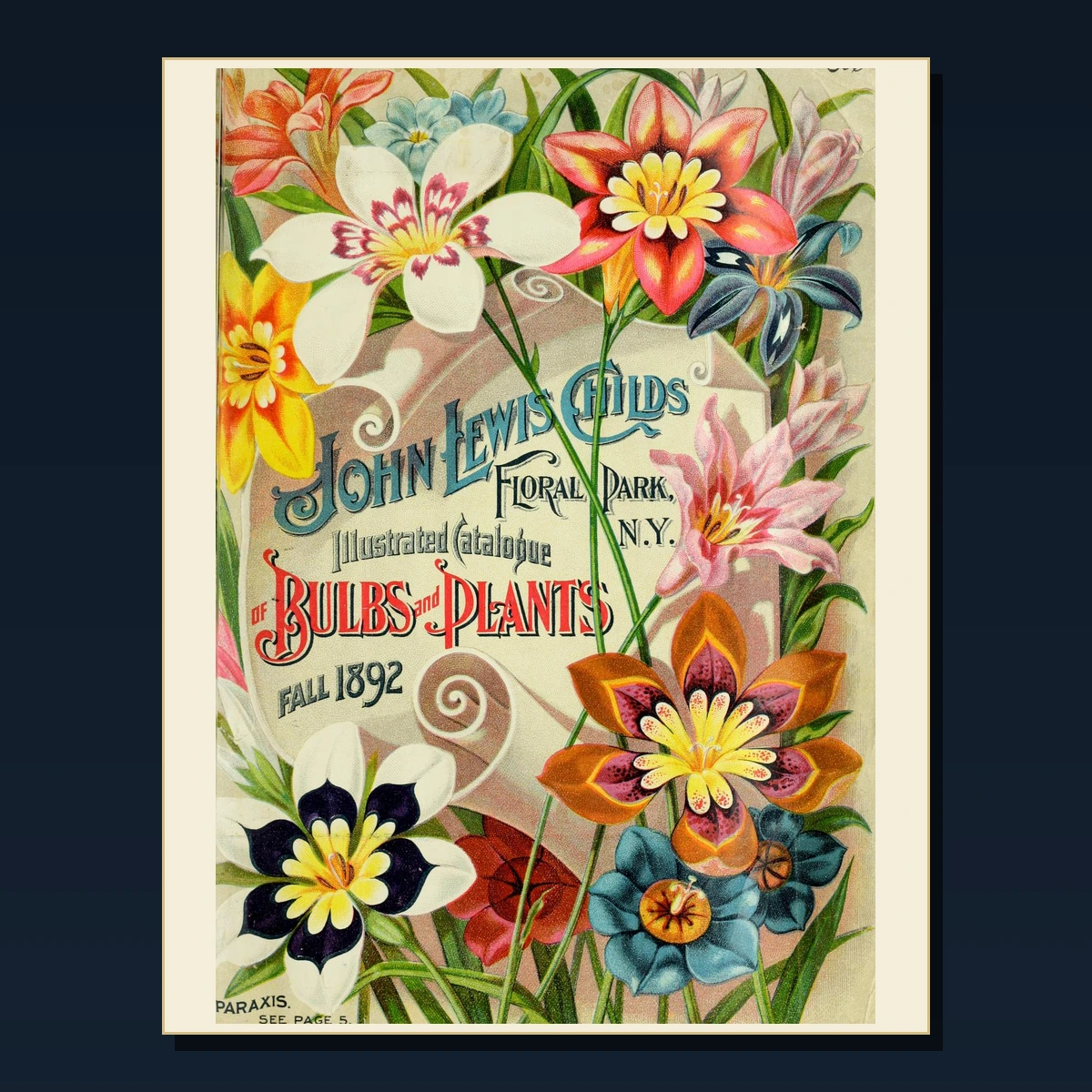 125 Rare Bulbs Tulips and Daffodils PDF Collection: Bulbs Tulips & Daffodils & Antique Sources image 5