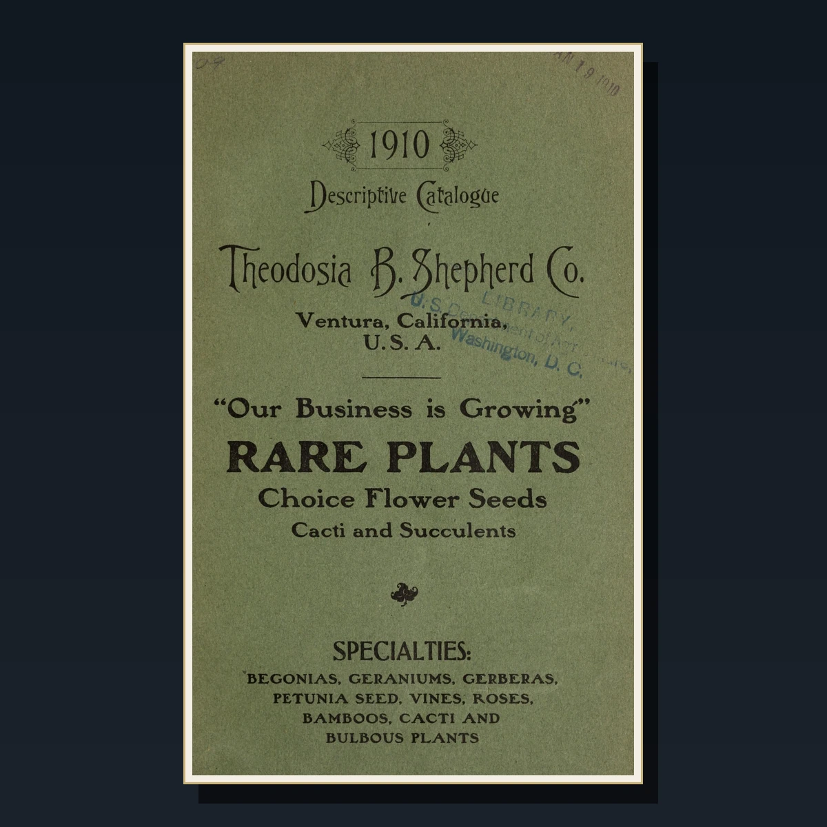125 Rare Cacti & Succulents PDF Collection: Desert Plants, Grafting, Species Identification & Cultivation image 2