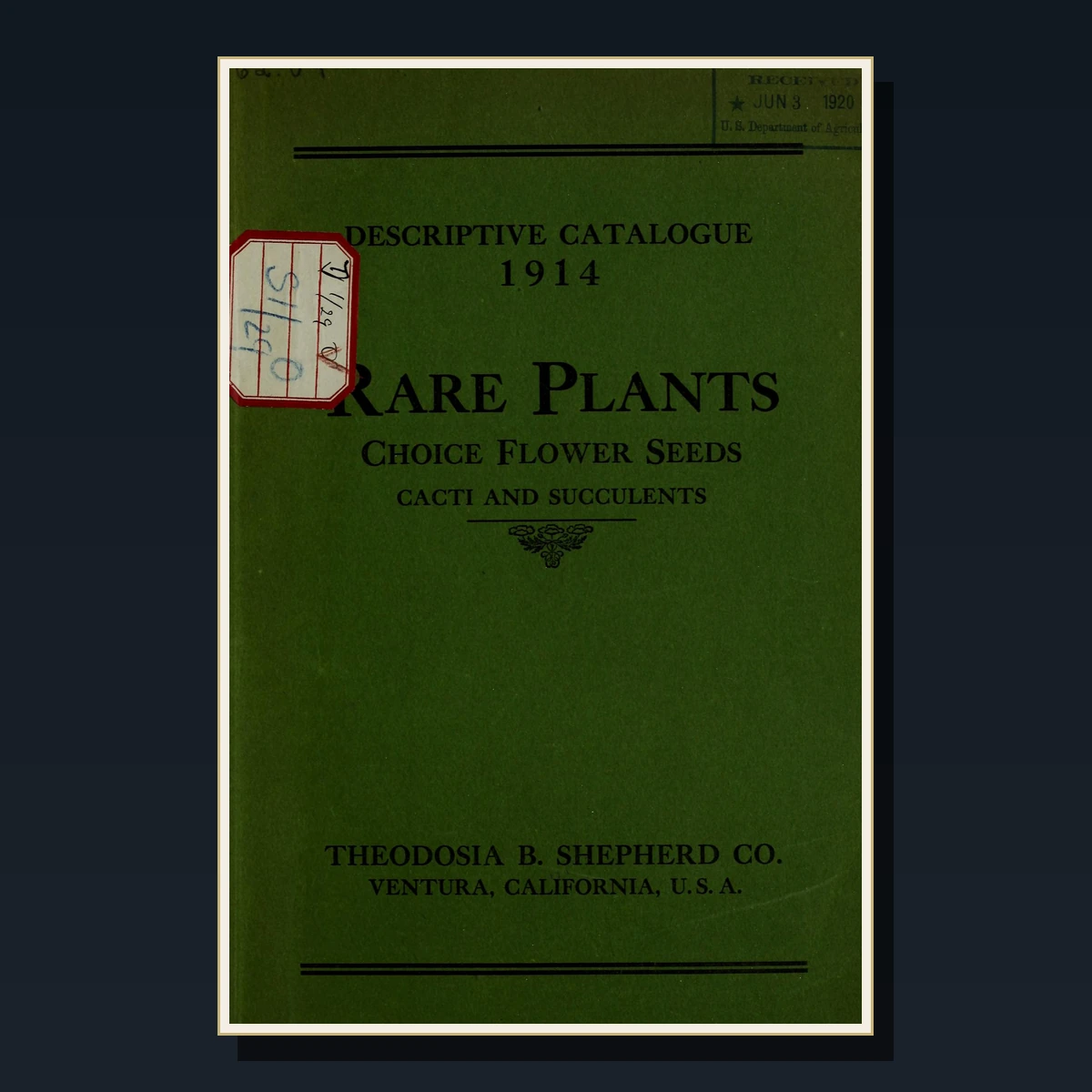 125 Rare Cacti & Succulents PDF Collection: Desert Plants, Grafting, Species Identification & Cultivation image 4