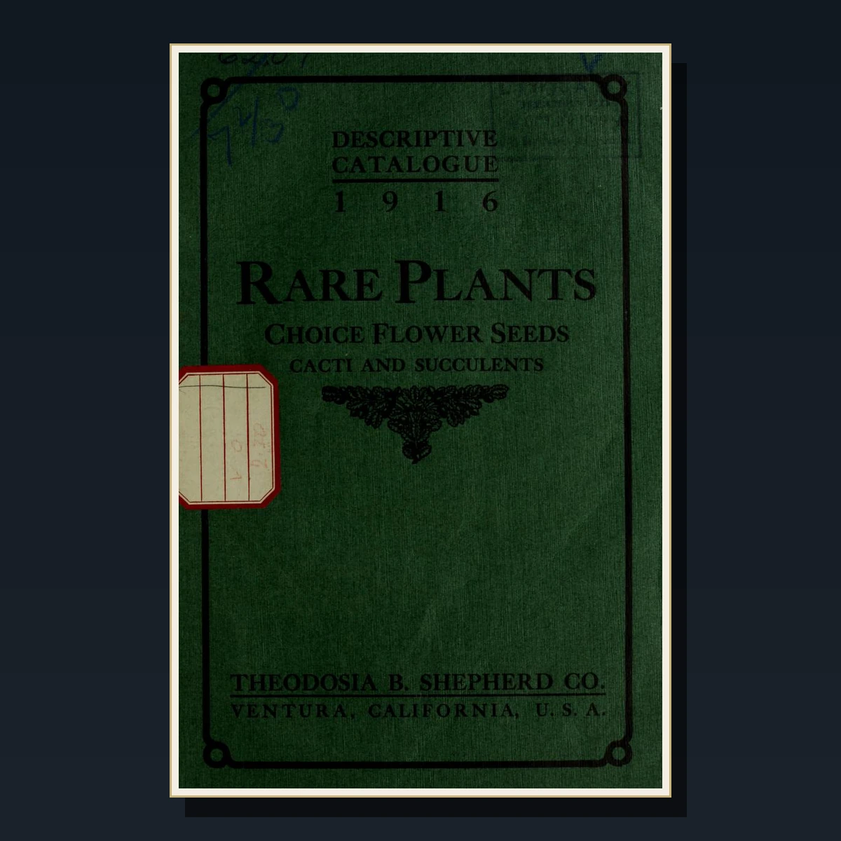 125 Rare Cacti & Succulents PDF Collection: Desert Plants, Grafting, Species Identification & Cultivation image 5