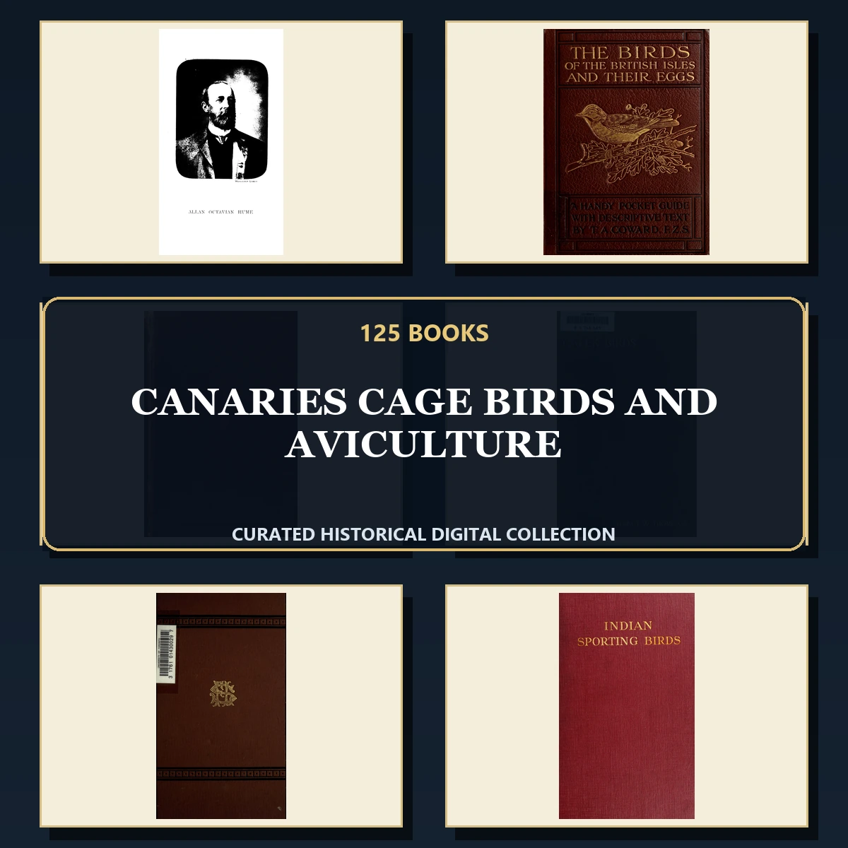 125 Rare Canaries Cage Birds and Aviculture PDF Collection: Canaries Cage Birds & Aviculture & Antique Sources