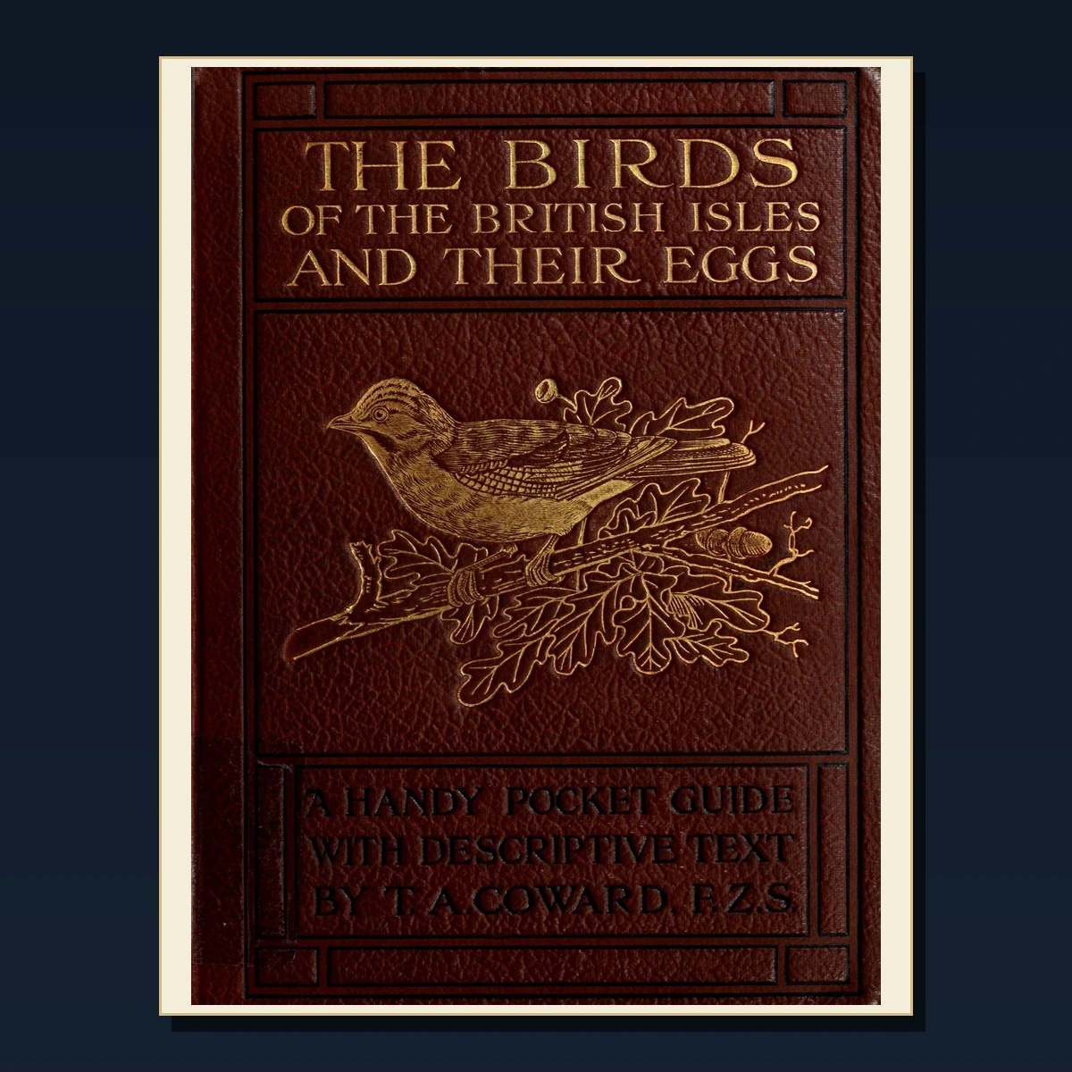 125 Rare Canaries Cage Birds and Aviculture PDF Collection: Canaries Cage Birds & Aviculture & Antique Sources image 3