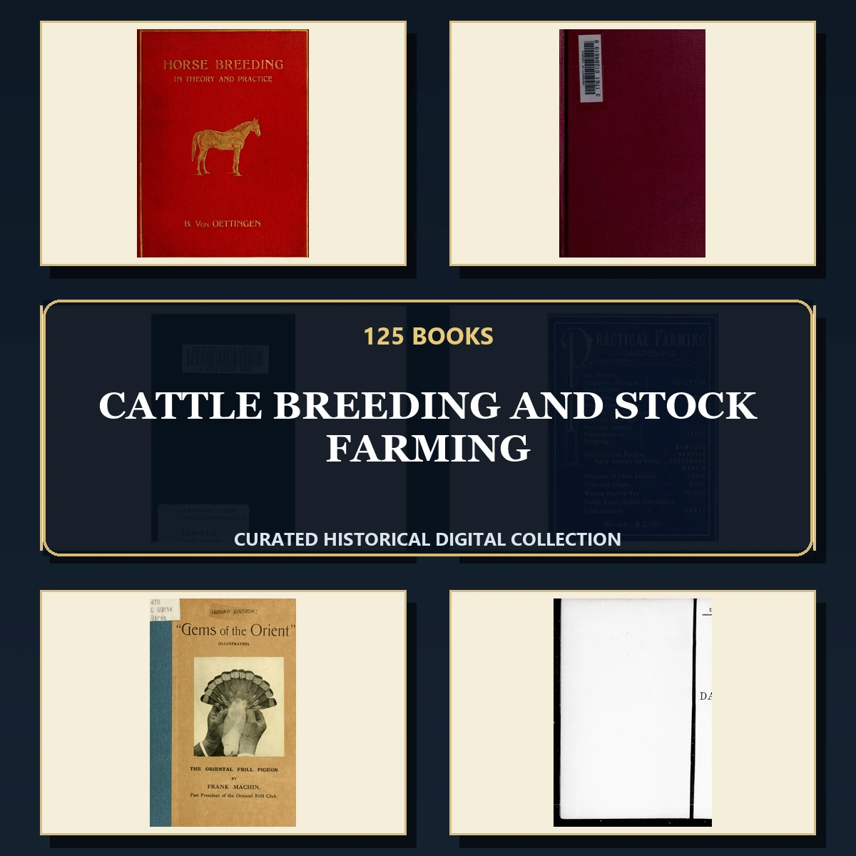 125 Rare Cattle Breeding and Stock Farming PDF Collection: Cattle Breeding & Stock Farming & Antique Sources