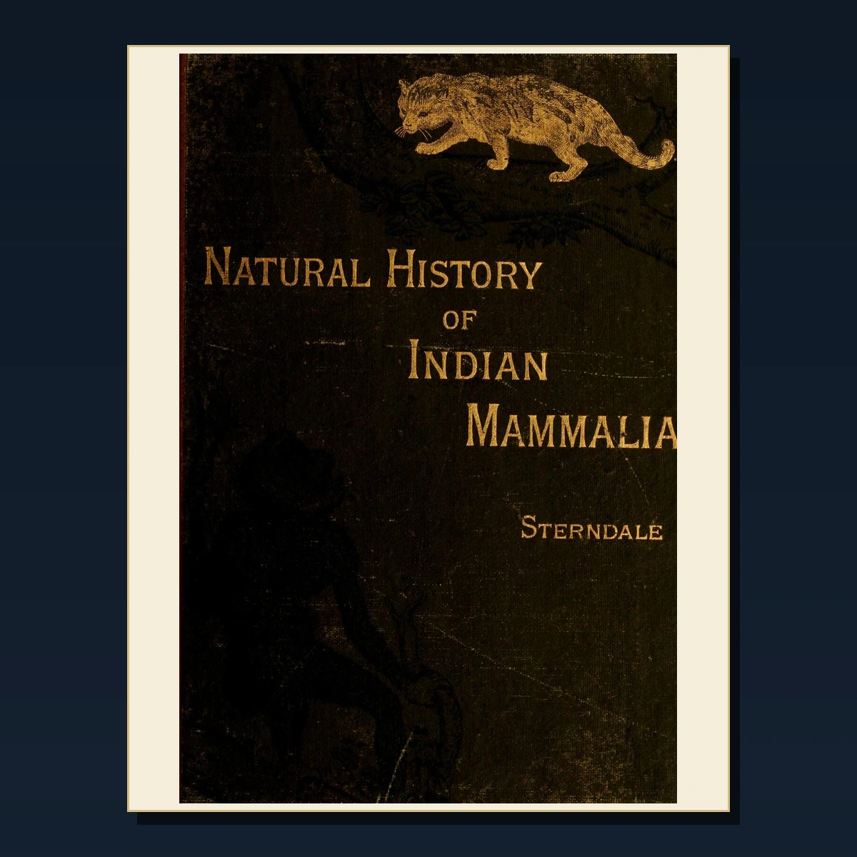 125 Rare Ceylon Sri Lanka History and Travel PDF Collection: Ceylon Sri Lanka History & Travel & Antique Sources image 4