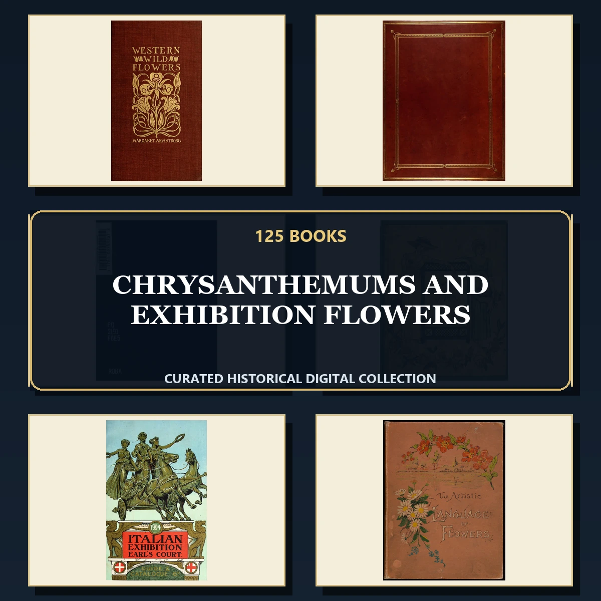 125 Rare Chrysanthemums and Exhibition Flowers PDF Collection: Chrysanthemums & Exhibition Flowers & Antique Sources