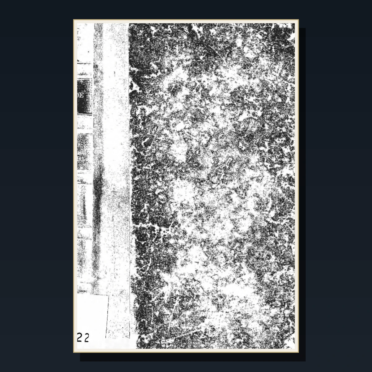 55 Rare Edgar Allan Poe PDF Collection: The Raven, Tell-Tale Heart, Fall of the House of Usher & Poems image 5
