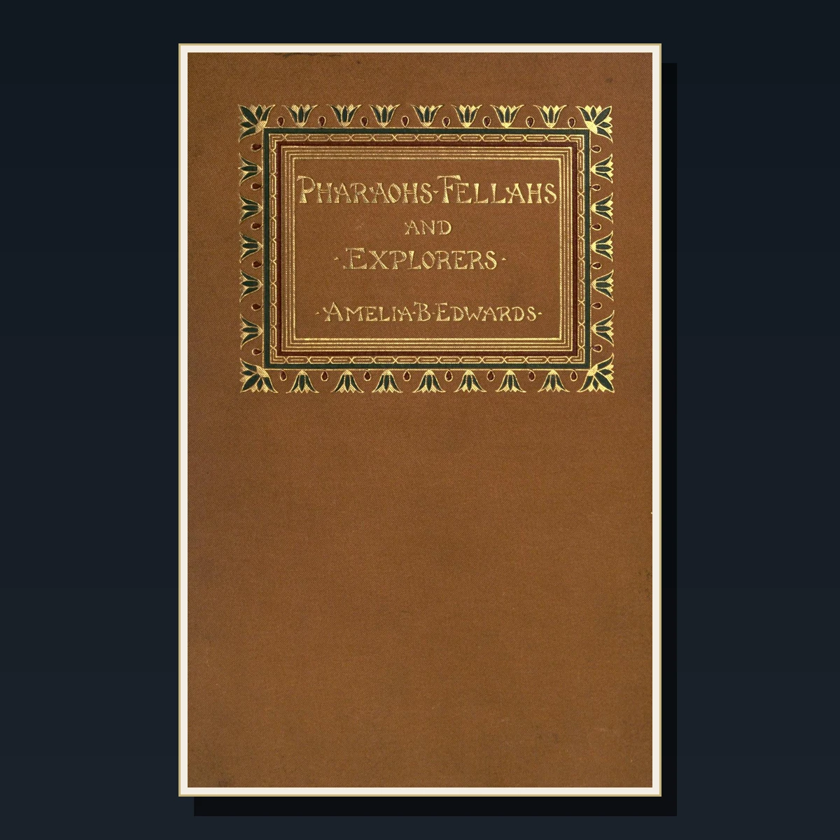 125 Rare Explorer Biographies PDF Collection: Livingstone, Cook, Scott, Shackleton, Franklin & Great Explorers image 5