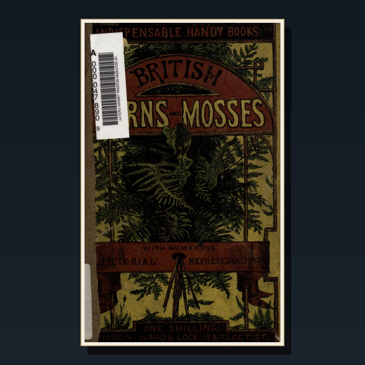 125 Rare Ferns & Mosses PDF Collection: British Ferns, Pteridomania, Newman, Moore & Victorian Fern Craze