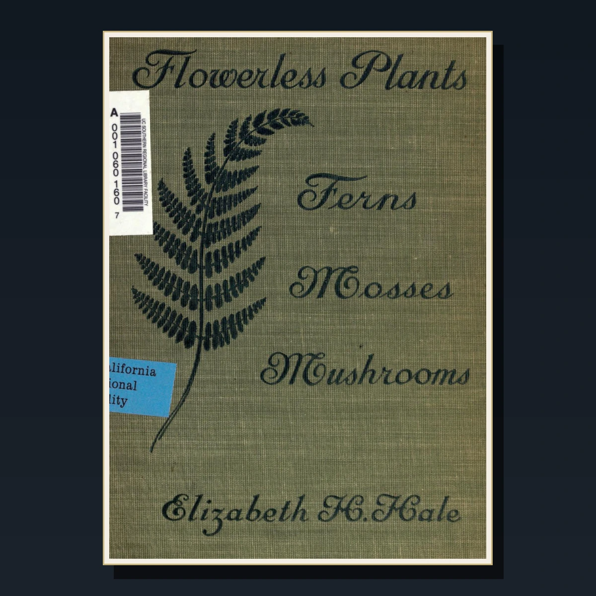125 Rare Ferns & Mosses PDF Collection: British Ferns, Pteridomania, Newman, Moore & Victorian Fern Craze image 2