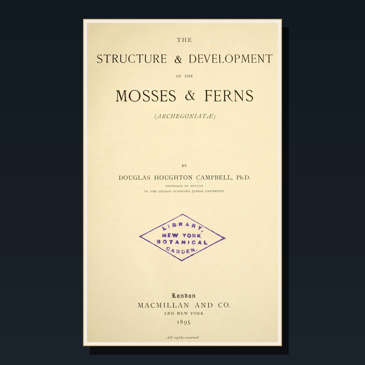 125 Rare Ferns & Mosses PDF Collection: British Ferns, Pteridomania, Newman, Moore & Victorian Fern Craze image 3