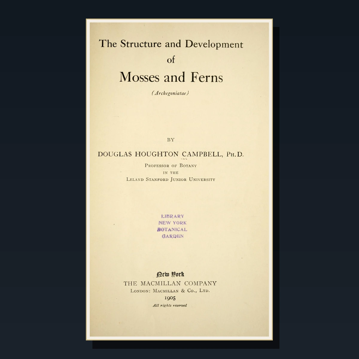 125 Rare Ferns & Mosses PDF Collection: British Ferns, Pteridomania, Newman, Moore & Victorian Fern Craze image 4