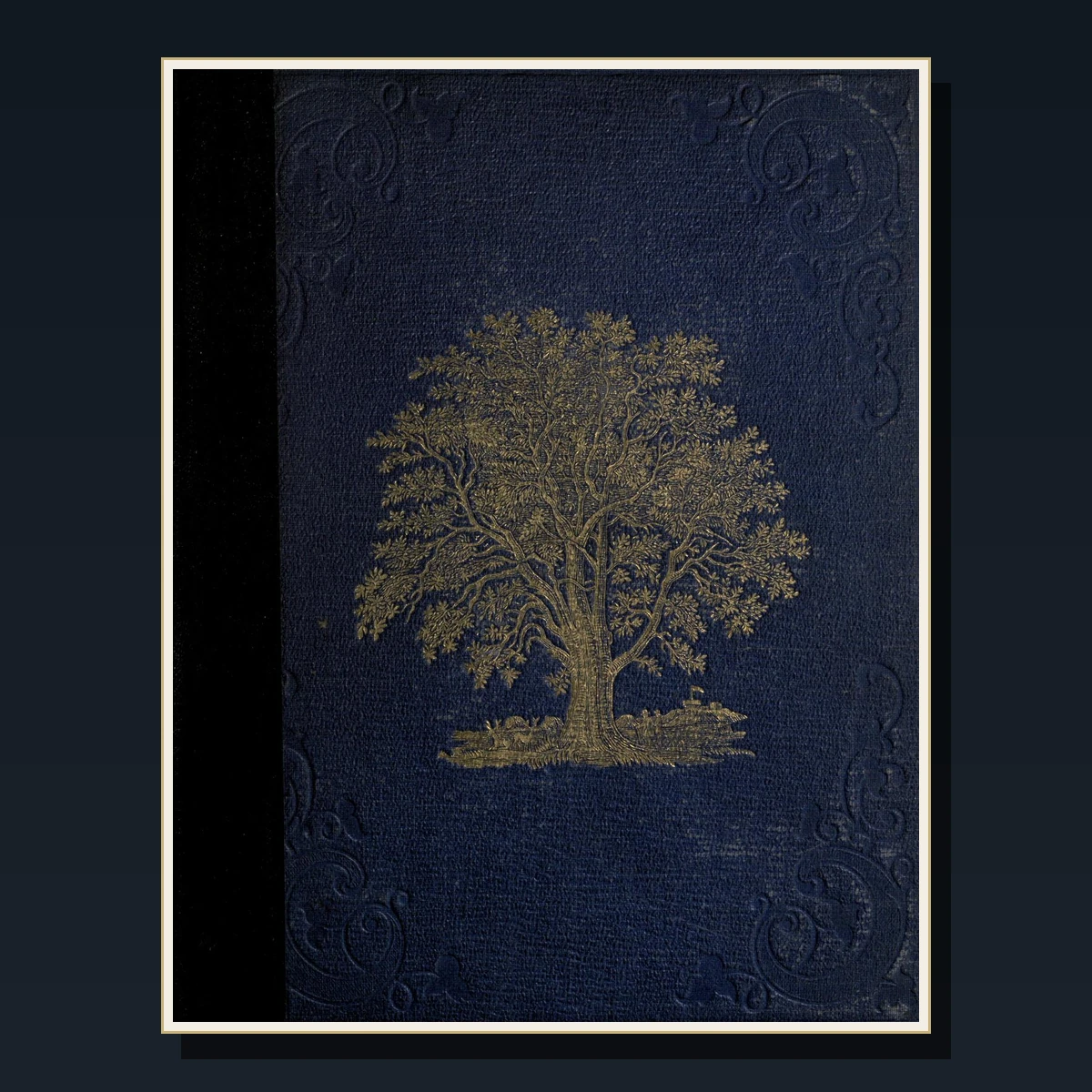 125 Rare Ferns & Mosses PDF Collection: British Ferns, Pteridomania, Newman, Moore & Victorian Fern Craze image 6