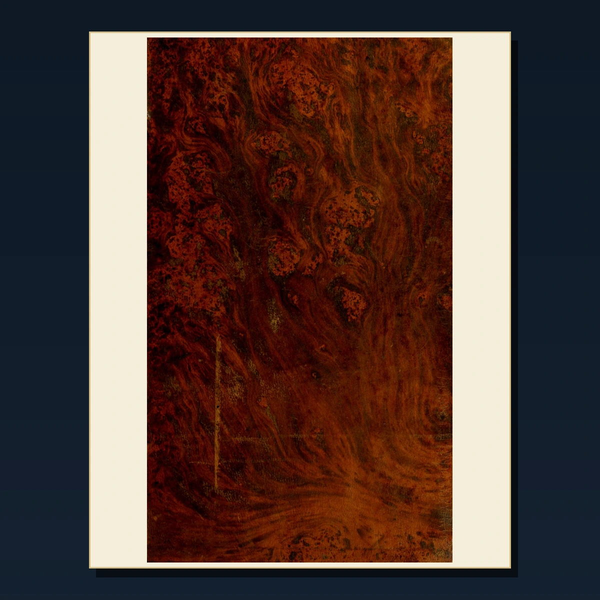 125 Rare Florence and the Medici PDF Collection: Florence & The Medici & Antique Sources image 3