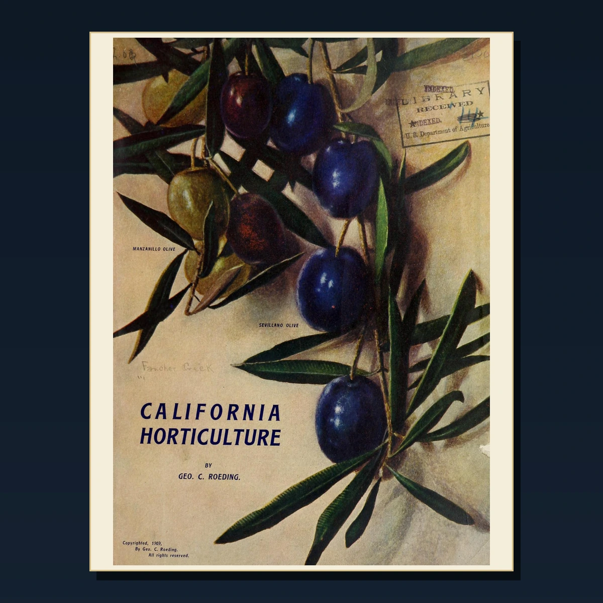 125 Rare Fruit Growing and Pomology PDF Collection: Fruit Growing & Pomology & Antique Sources image 3