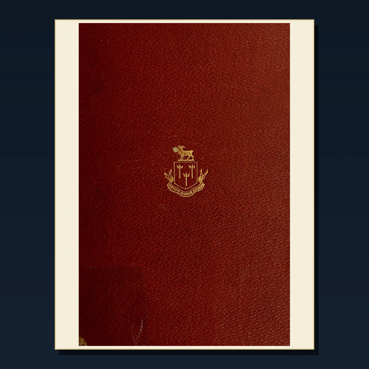 125 Rare Genealogy Surnames and Family Name Origins PDF Collection: Genealogy Surnames & Family Name Origins & Antique Sources image 3