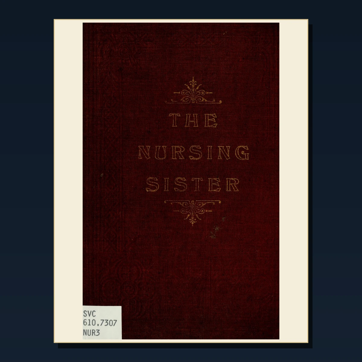 110 Rare History of Nursing and Nurse Training PDF Collection: History Of Nursing & Nurse Training & Antique Sources image 2