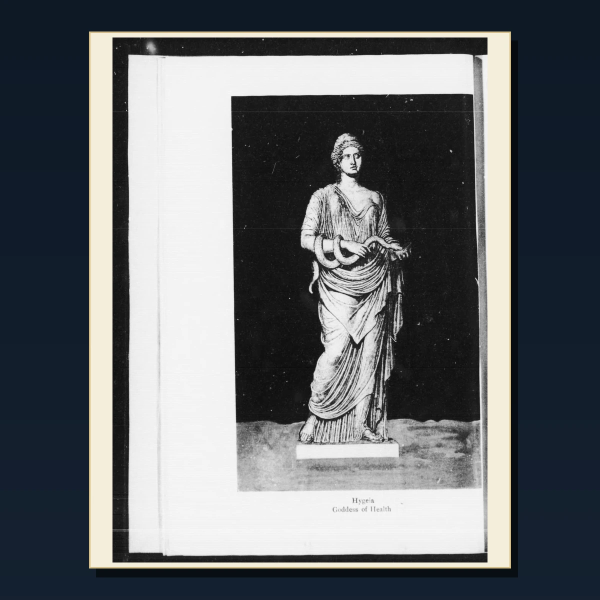 110 Rare History of Nursing and Nurse Training PDF Collection: History Of Nursing & Nurse Training & Antique Sources image 5