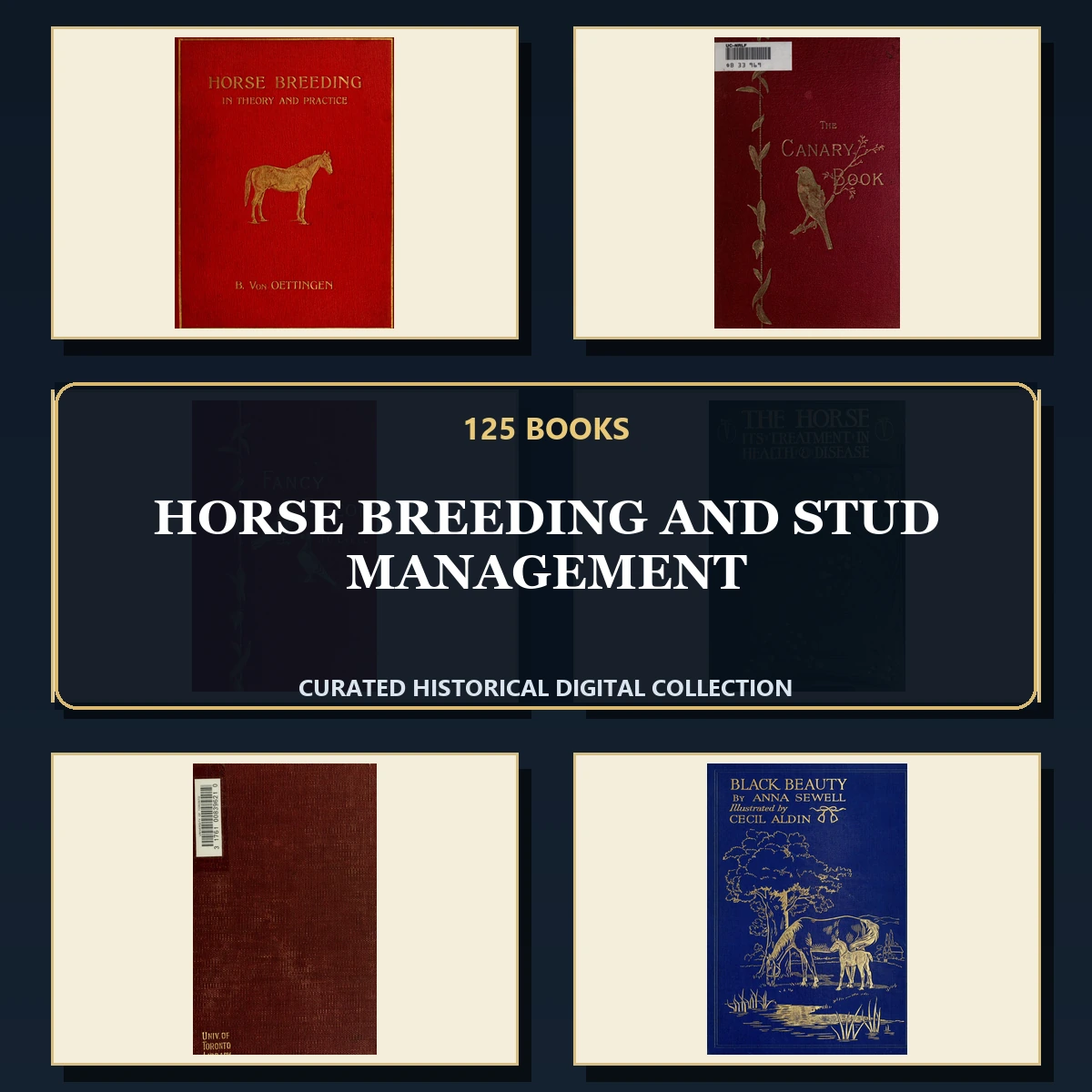 125 Rare Horse Breeding and Stud Management PDF Collection: Horse Breeding & Stud Management & Antique Sources