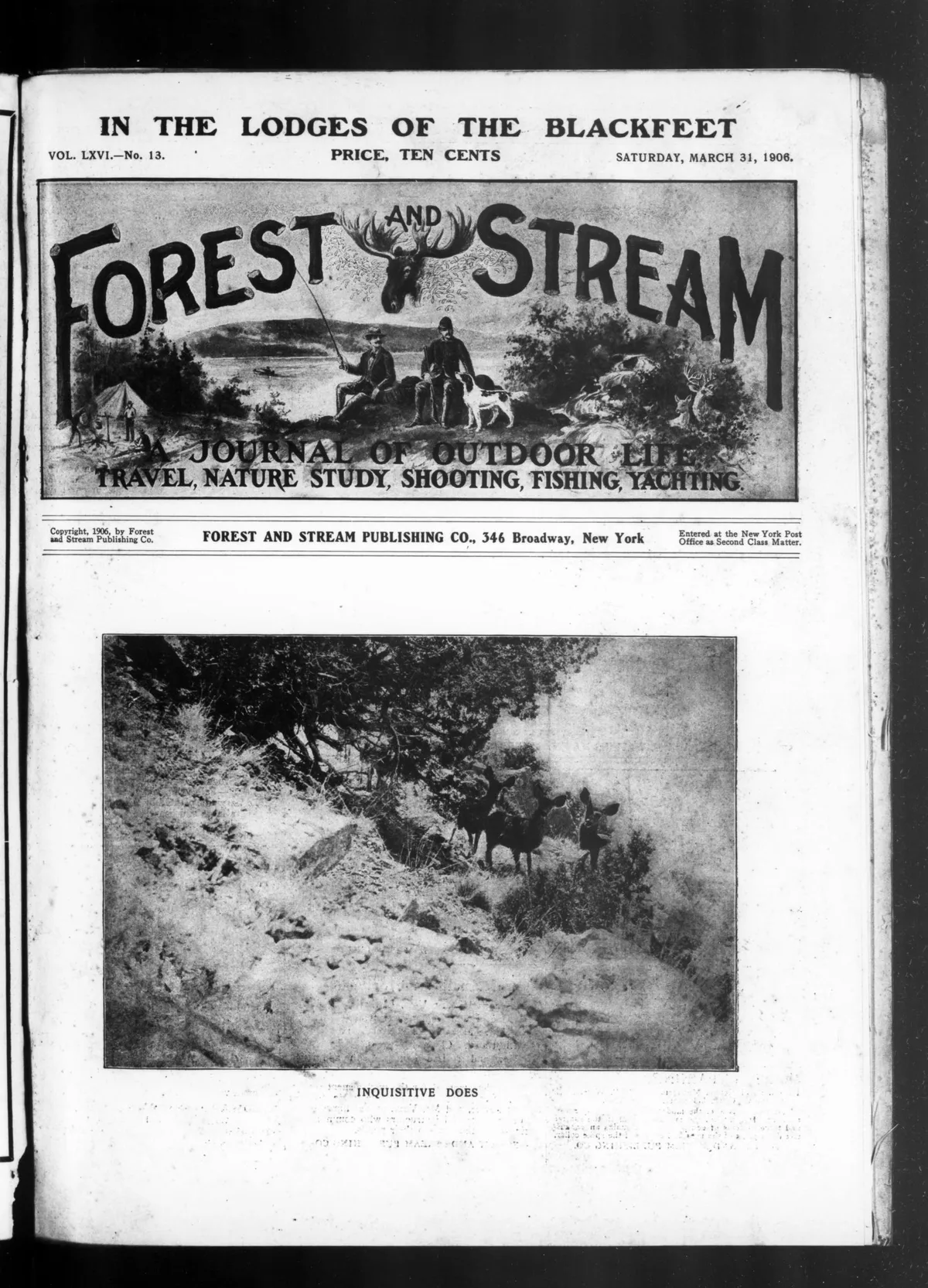 100 Vintage Hunting Field Sports & Sporting Books PDF USB preview gallery image
