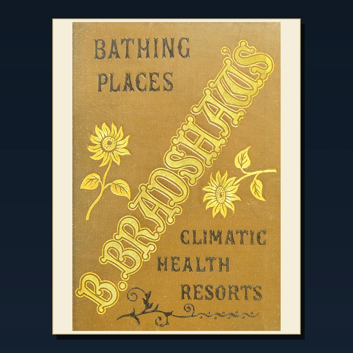 125 Rare Hydrotherapy Baths and Health Resorts PDF Collection: Hydrotherapy Baths & Health Resorts & Antique Sources image 3