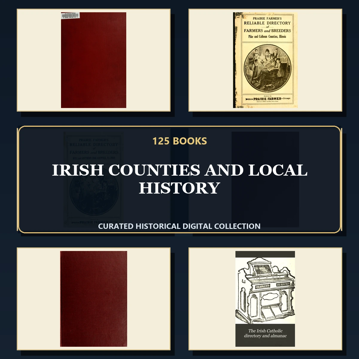 125 Rare Irish Counties and Local History PDF Collection: Irish Counties & Local History & Antique Sources