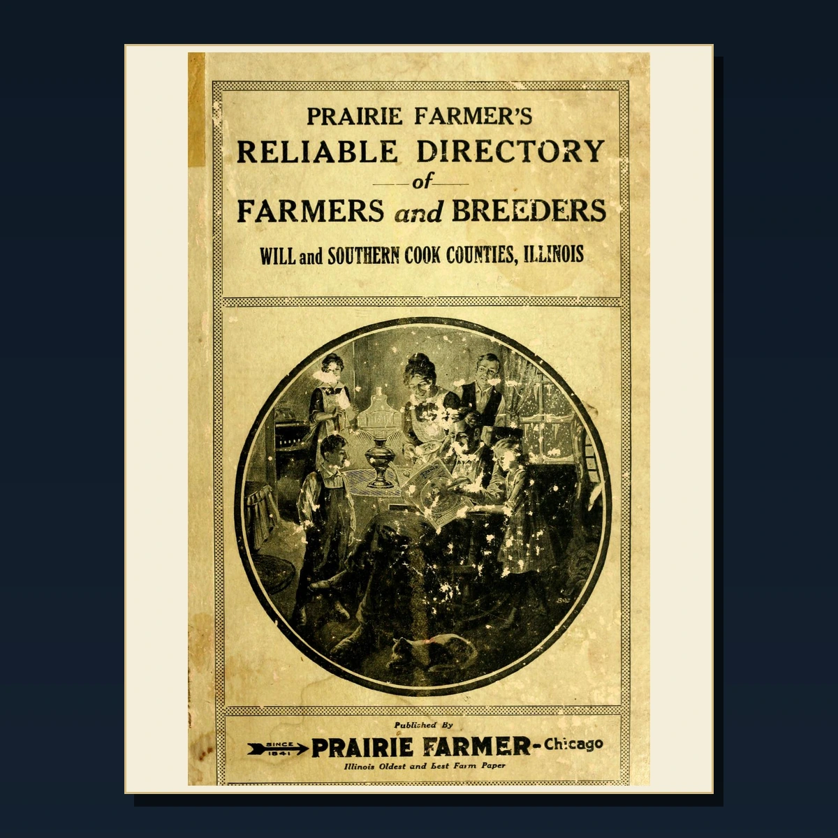 125 Rare Irish Counties and Local History PDF Collection: Irish Counties & Local History & Antique Sources image 4