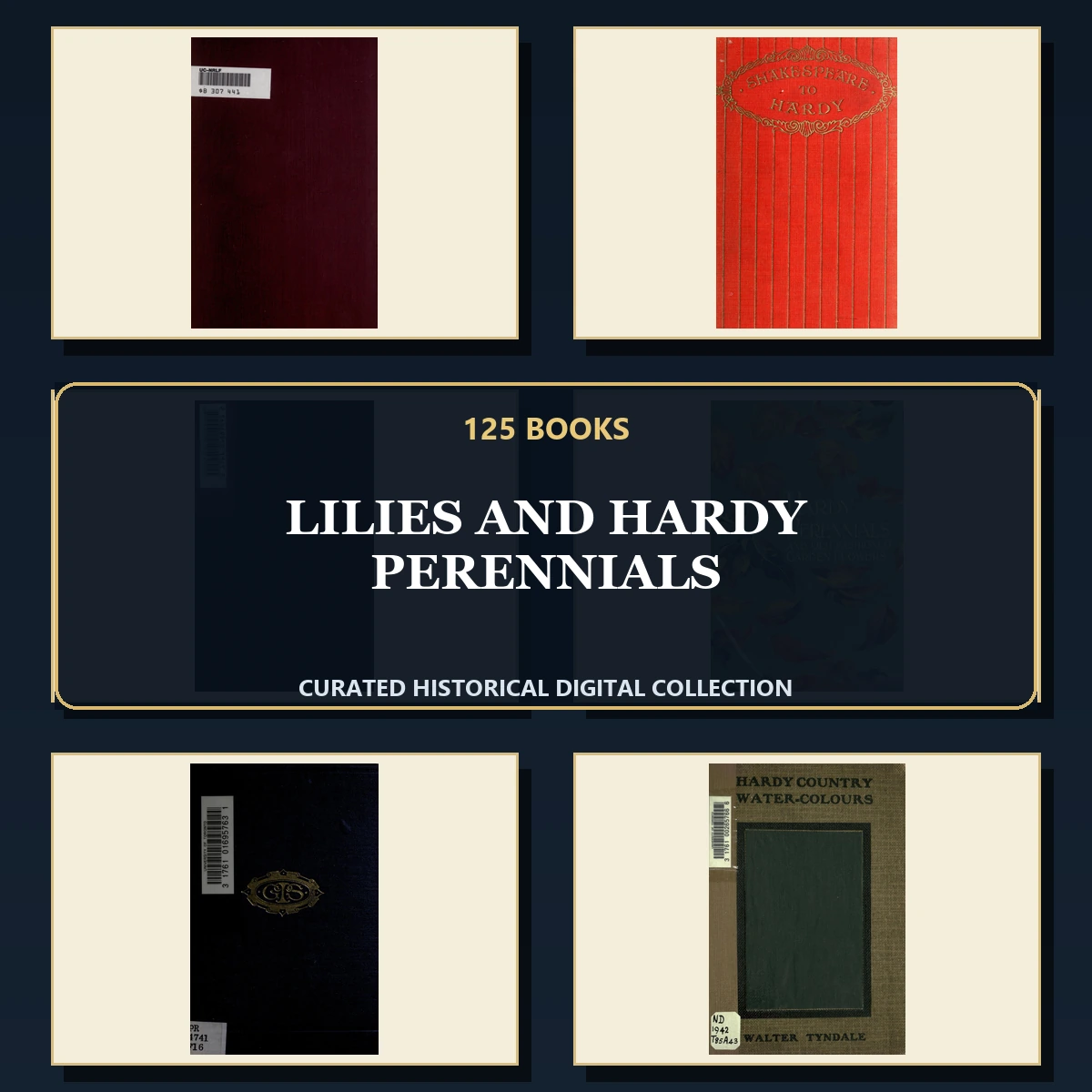 125 Rare Lilies and Hardy Perennials PDF Collection: Lilies & Hardy Perennials & Antique Sources