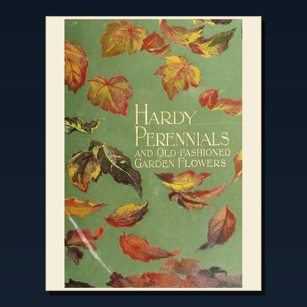 125 Rare Lilies and Hardy Perennials PDF Collection: Lilies & Hardy Perennials & Antique Sources image 5