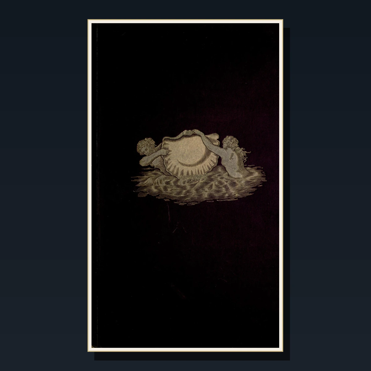 107 Rare Mammals & Zoology PDF Collection: Natural History, Bell, Lydekker, Sclater & British Fauna image 2