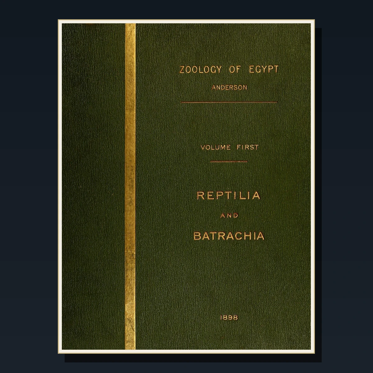 107 Rare Mammals & Zoology PDF Collection: Natural History, Bell, Lydekker, Sclater & British Fauna image 3