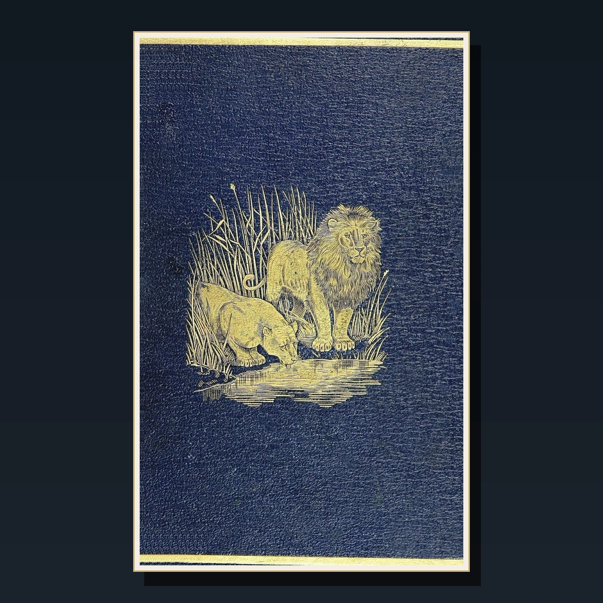 107 Rare Mammals & Zoology PDF Collection: Natural History, Bell, Lydekker, Sclater & British Fauna image 4