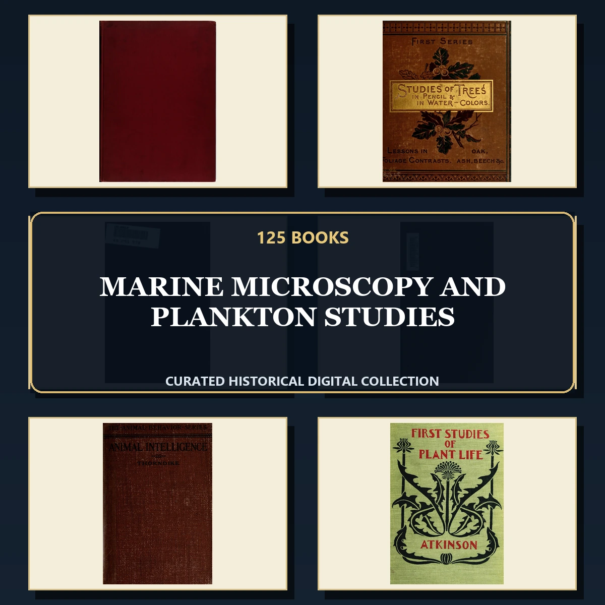125 Rare Marine Microscopy and Plankton Studies PDF Collection: Marine Microscopy & Plankton Studies & Antique Sources