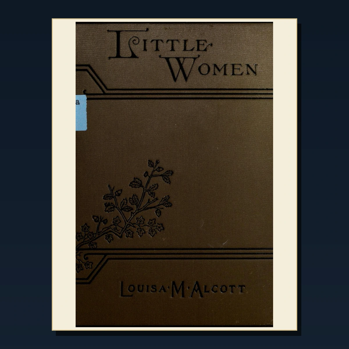 125 Rare Medieval Women and Domestic Life PDF Collection: Medieval Women & Domestic Life & Antique Sources image 6