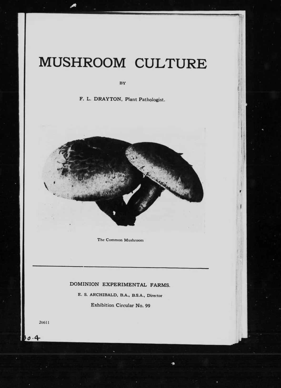 100 Antique Mushrooms, Fungi & Foraging Books PDF Collection on USB preview gallery image