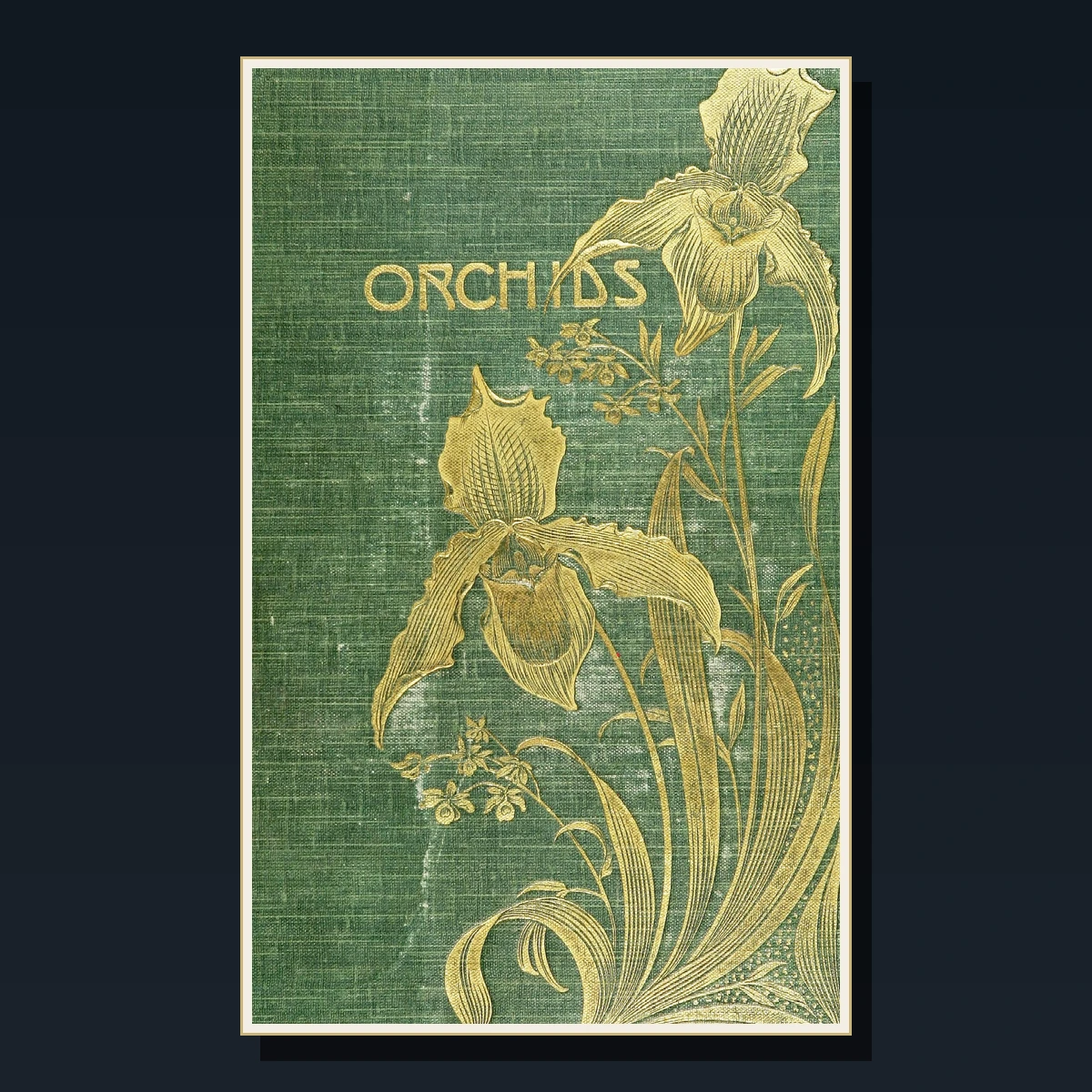 125 Rare Orchids PDF Collection: Tropical, British, Cultivation, Lindley, Warner & Orchid Classification image 2