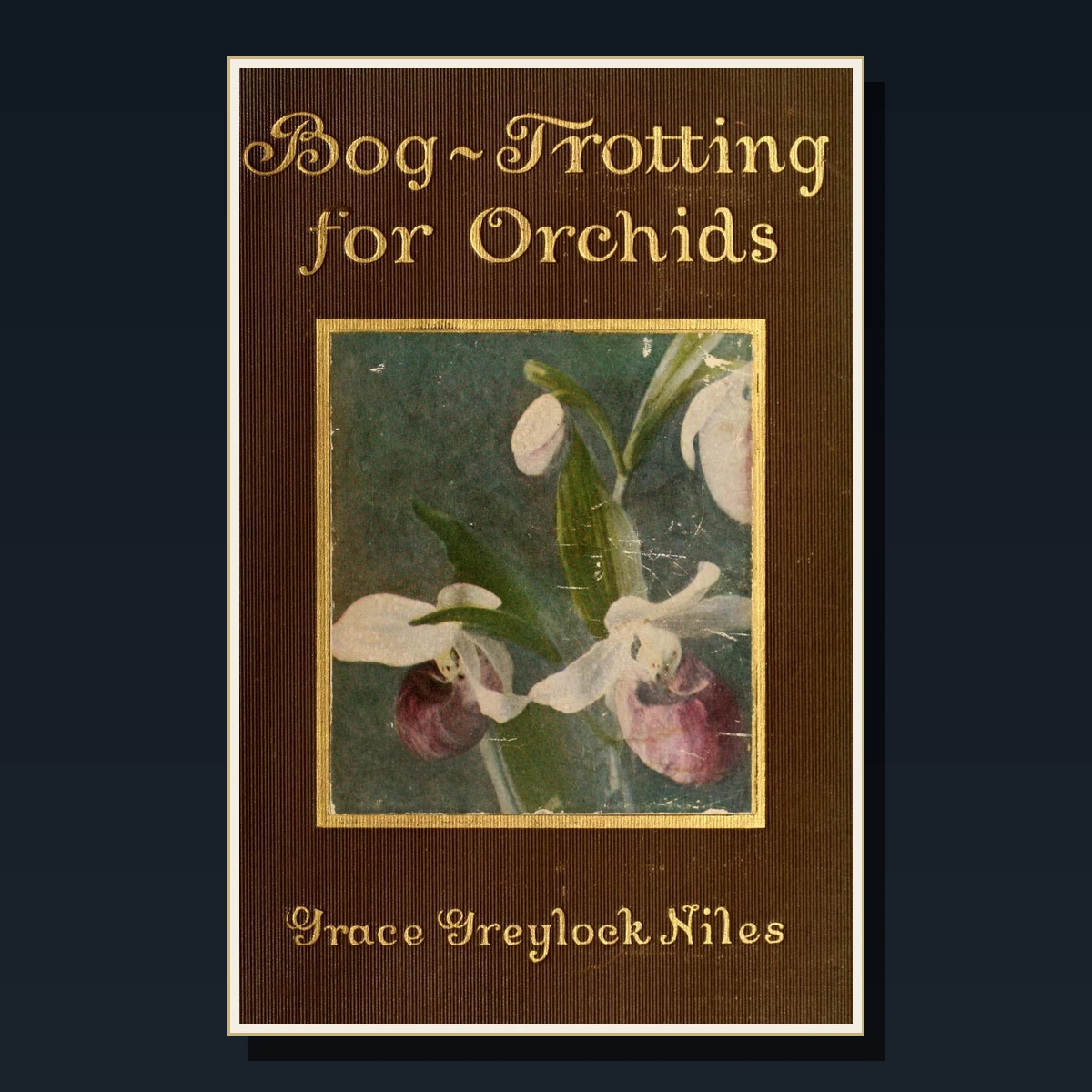 125 Rare Orchids PDF Collection: Tropical, British, Cultivation, Lindley, Warner & Orchid Classification image 5
