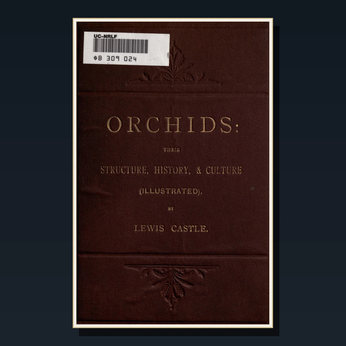 125 Rare Orchids PDF Collection: Tropical, British, Cultivation, Lindley, Warner & Orchid Classification image 6