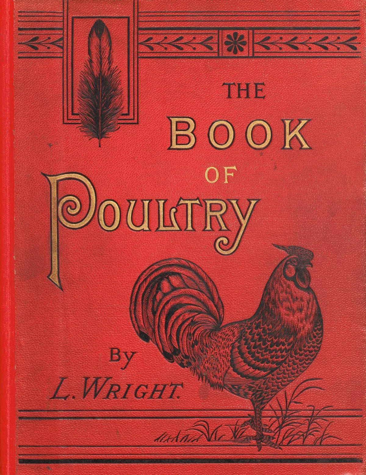 120 Vintage Poultry Chicken Duck & Bantam Keeping Books PDF on USB preview gallery image