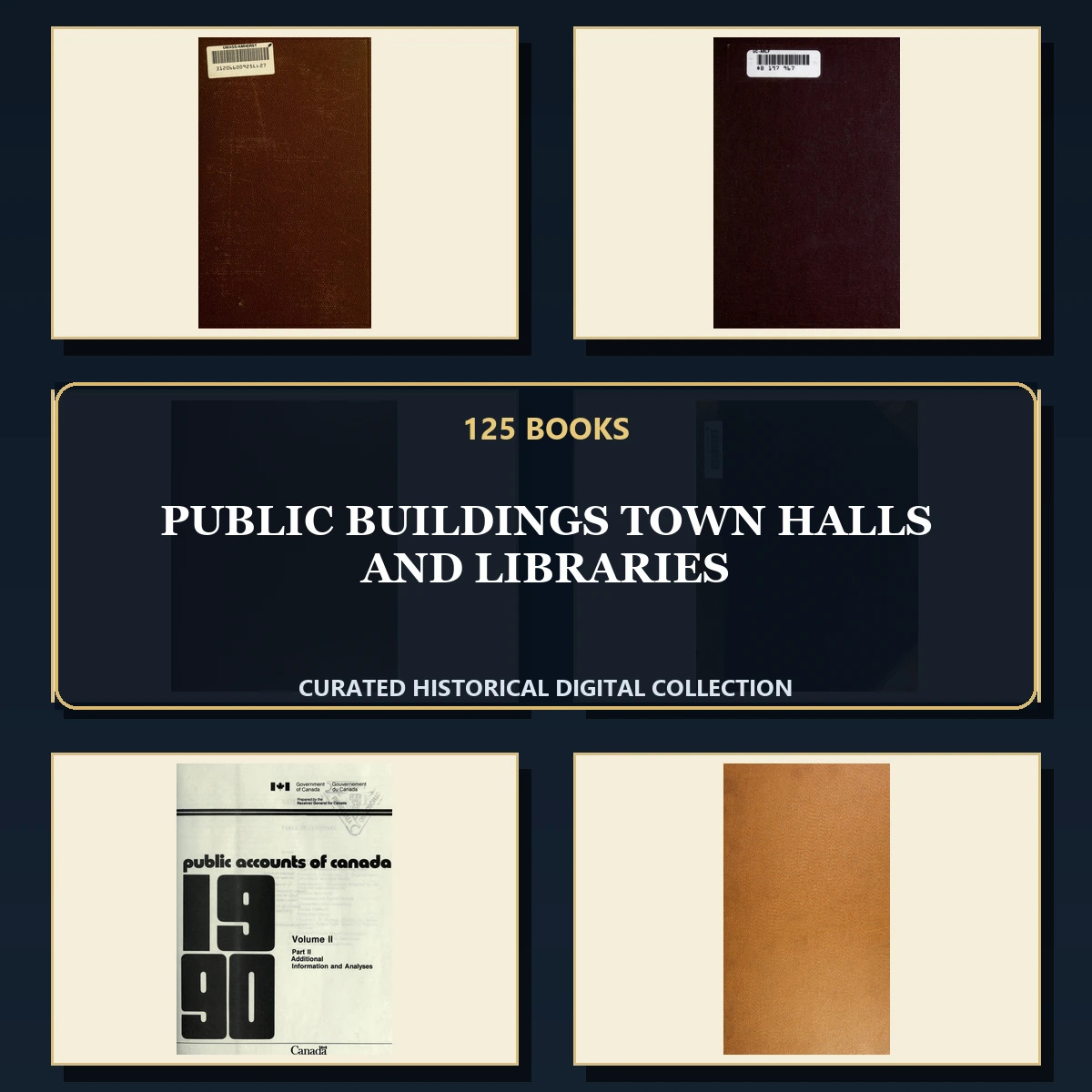 125 Rare Public Buildings Town Halls and Libraries PDF Collection: Public Buildings Town Halls & Libraries & Antique Sources