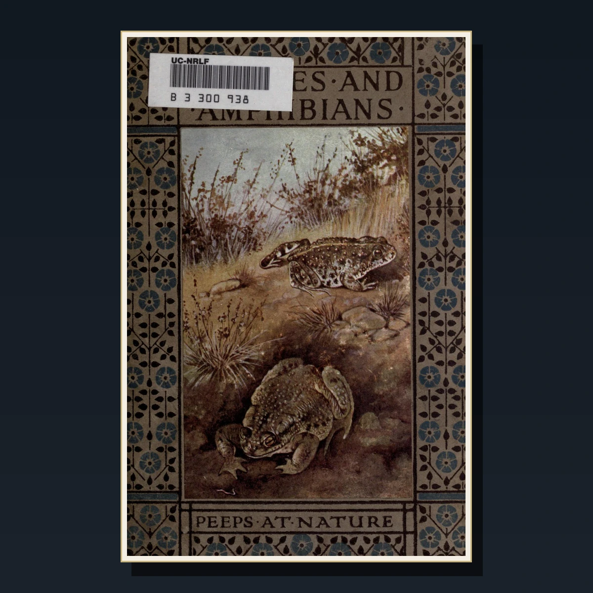 125 Rare Reptiles & Amphibians PDF Collection: Snakes, Lizards, Frogs, Boulenger & Herpetology image 2