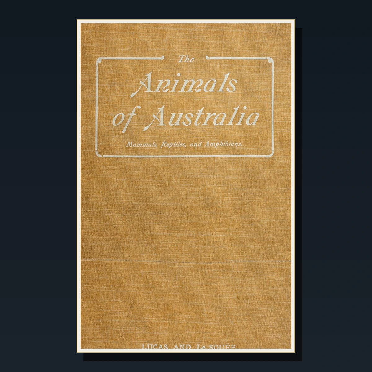 125 Rare Reptiles & Amphibians PDF Collection: Snakes, Lizards, Frogs, Boulenger & Herpetology image 3